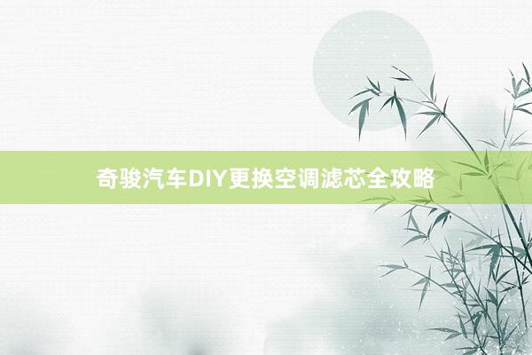 奇骏汽车DIY更换空调滤芯全攻略